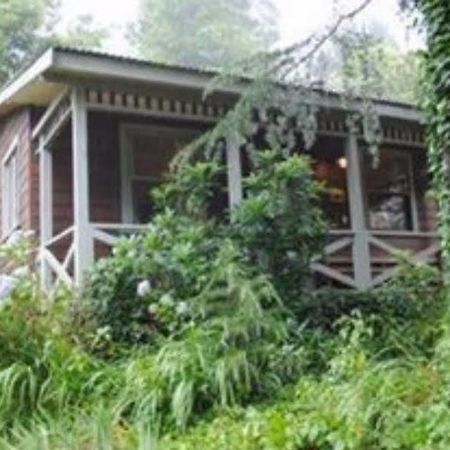 Bygone Beautys Cottages Leura Buitenkant foto