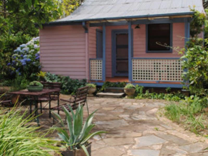 Bygone Beautys Cottages Leura Buitenkant foto